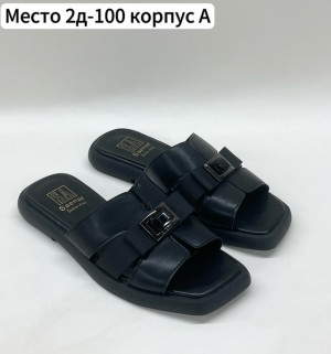 Сланцы #22697253