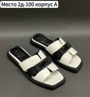 Сланцы #22697256
