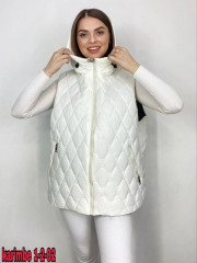 Жилет