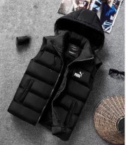 Жилет