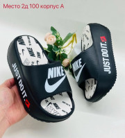 Сланцы