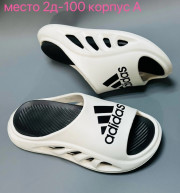 Сланцы