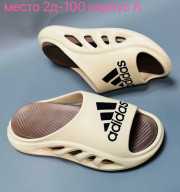 Сланцы