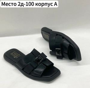 Сланцы 22786056
