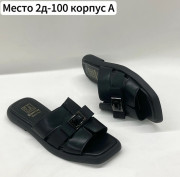 Сланцы