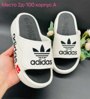 Сланцы