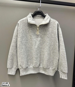 Толстовка 22810842