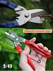 Секатор садовый
