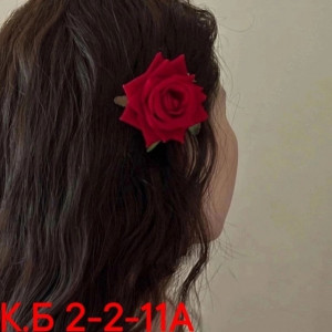 Заколка для волос 22894577