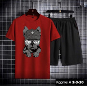 Спортивный костюм