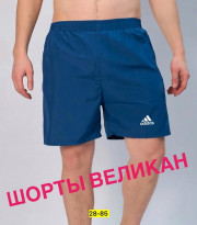 Шорты