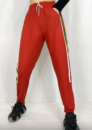 Спортивные брюки 23004485