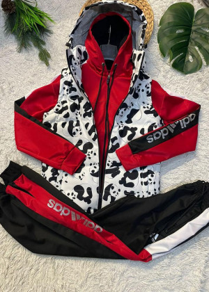 Спортивный костюм 23024613