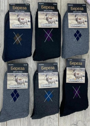 Носки 10пар #23089942