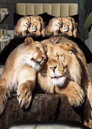 Постельное белье 23137489