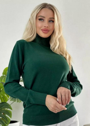 Водолазка #23178442