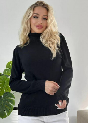 Водолазка #23178444