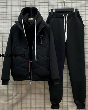 Спортивный костюм #23181612