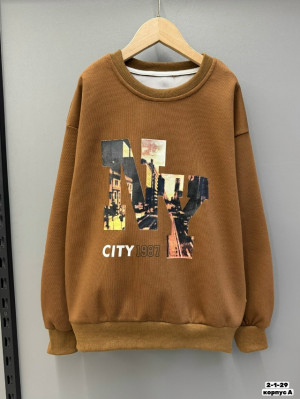 Толстовка #23208995