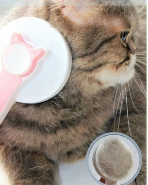 Расческа #23217538