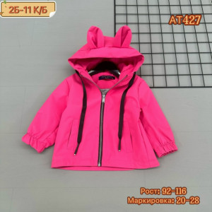 Ветровка #23225189