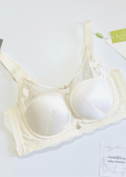 Бюстгальтер