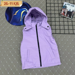 Жилет #23273518