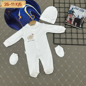 Комбинезон 23273583