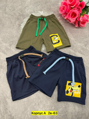 Шорты #23275180