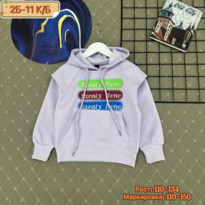 Толстовка #23278177