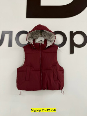 Жилет #23294496