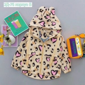 Ветровка #23309358