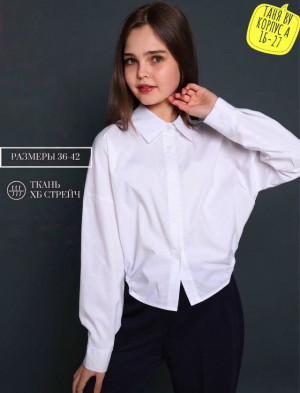 Рубашка #23322843