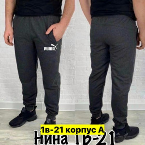 Штаны #23370450