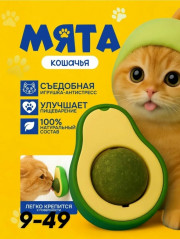 Форма