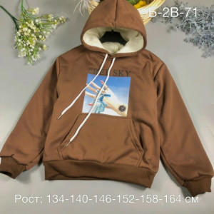Толстовка #23409309