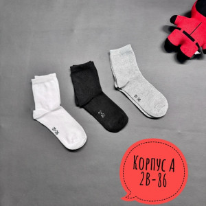 Носки #23423163
