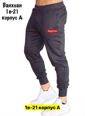 Штаны 23440500