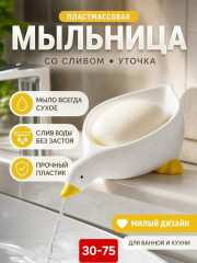 Мыльница