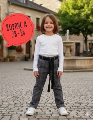 Брюки #23489643