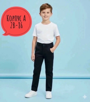 Брюки #23489664