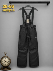Штаны