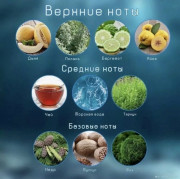 Туалетная вода