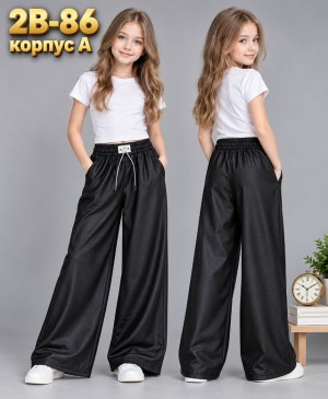 Штаны #23523115