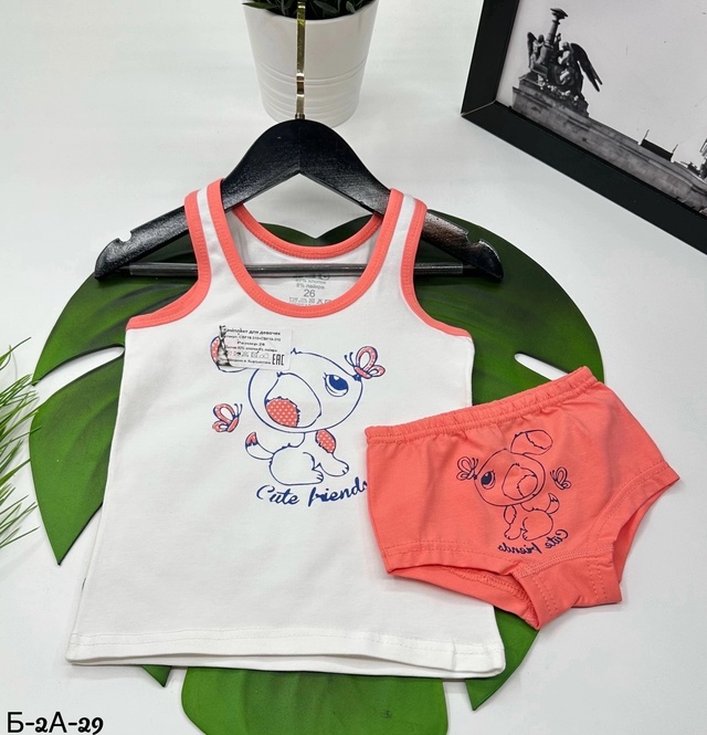 Комплект 22905232