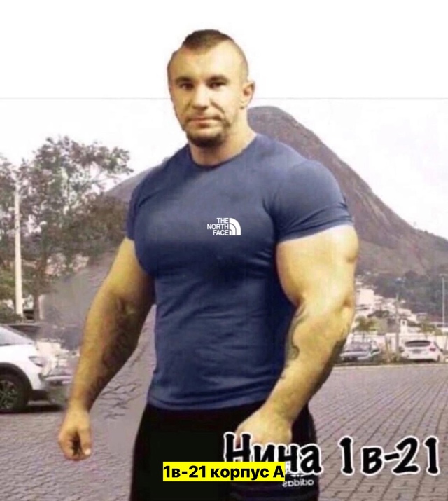 Футболка 22907296