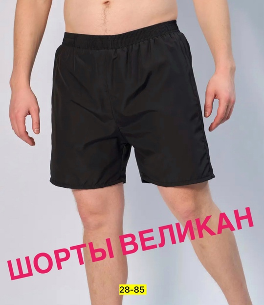 Шорты 22911008