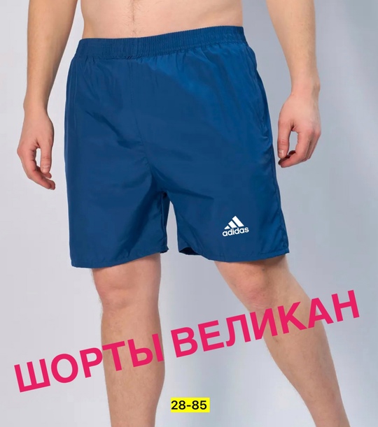 Шорты 22911008