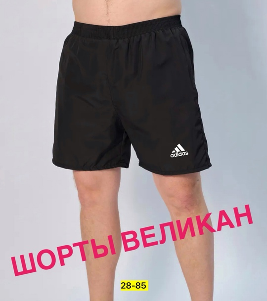 Шорты 22911008