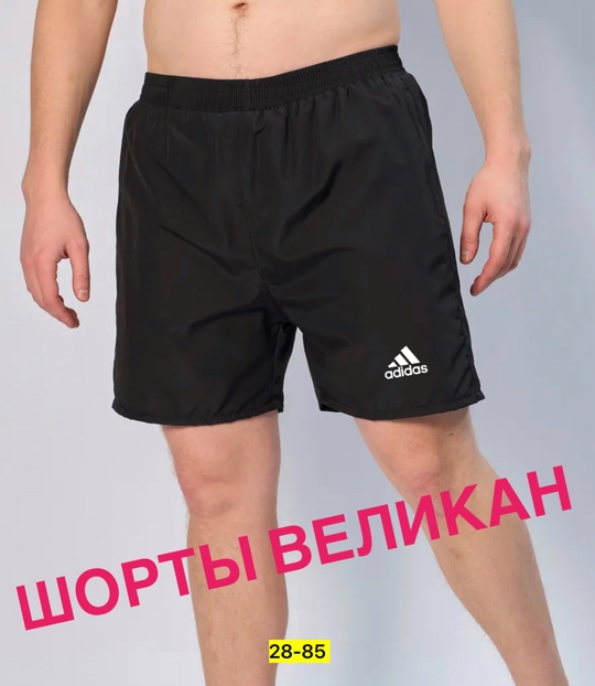 Шорты 22911008